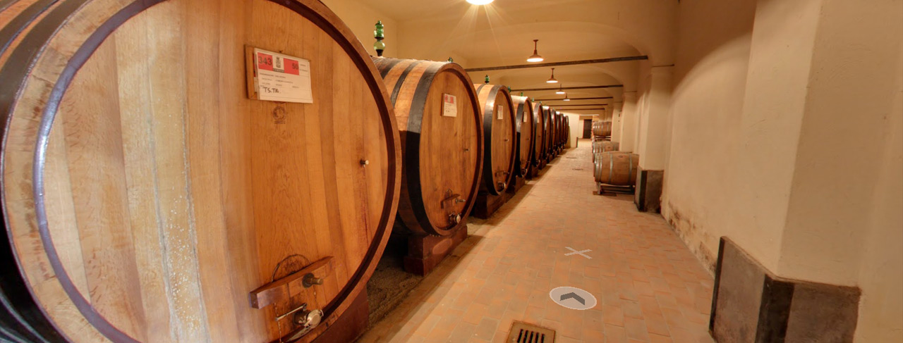 Tour of our wine cellars