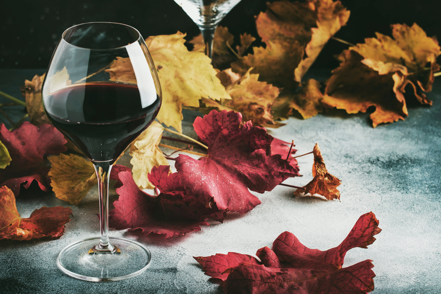 Autumnal wines: their qualities and how to choose them Autumnal wines: their qualities and how to choose them