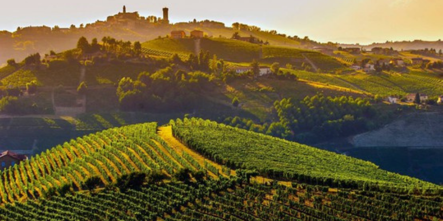 Langhe, Roero and Monferrato: September on the go Langhe, Roero and Monferrato: September on the go