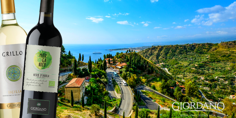 Sicilian wines, a great tradition to discover Sicilian wines, a great tradition to discover