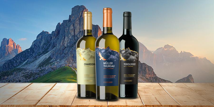 Discovering the wines of Trentino
