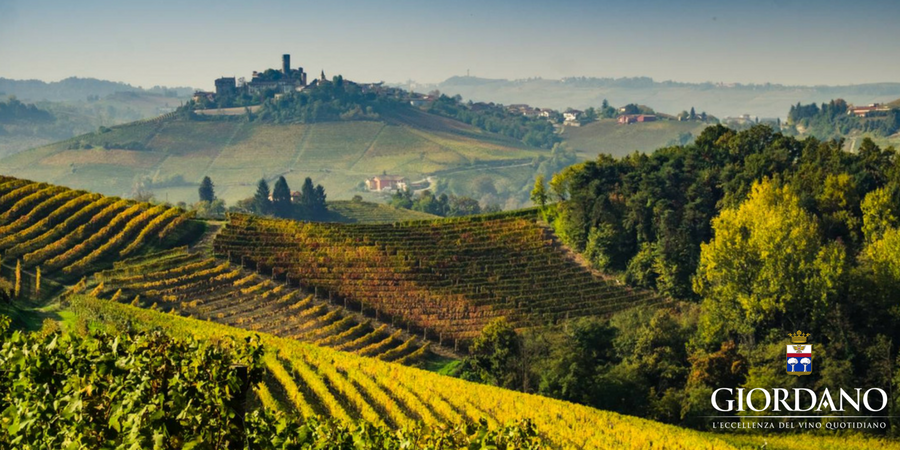Italy: a journey to the centre of the planet Wine Italy: a journey to the centre of the planet Wine