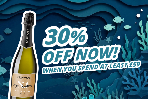 30% OFF NOW