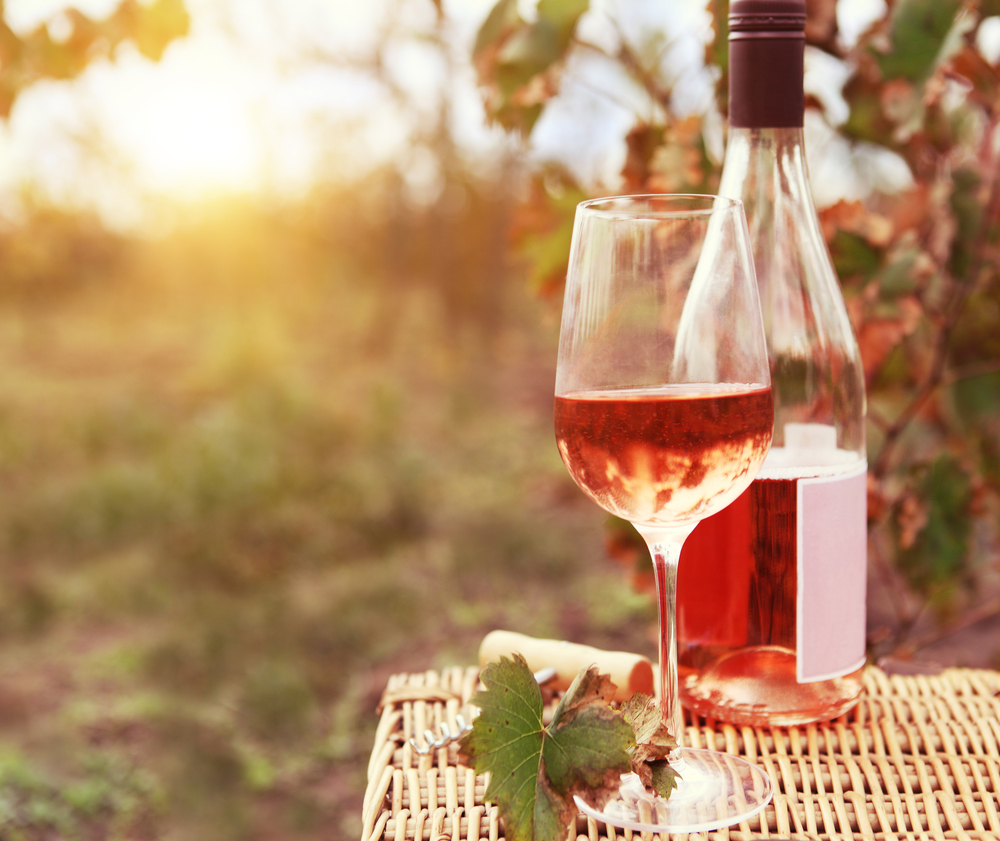 vino primitivo salento rose