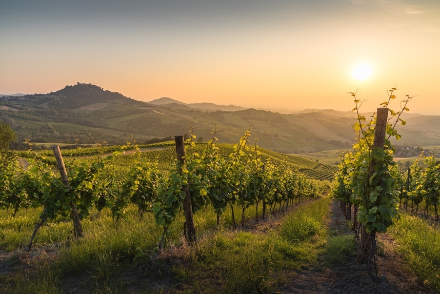 Production areas and characteristics of Lombardy's red and white wines